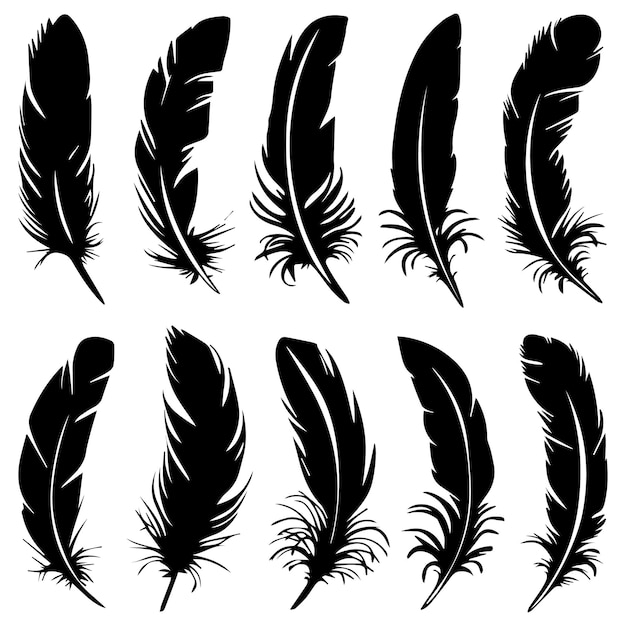 Diseño vectorial de la colección de siluetas de plumas detalladas