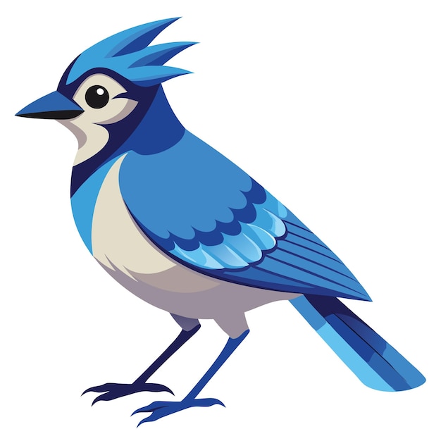 Diseño vectorial colorido de Blue Jay Bird