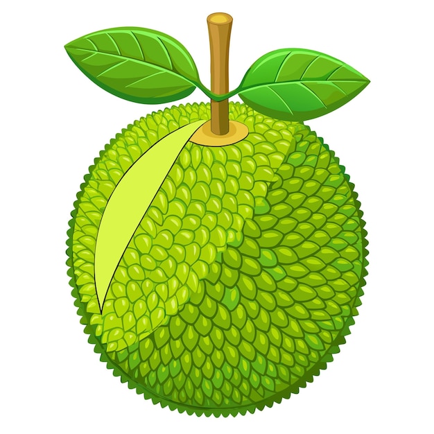 El diseño vectorial del estilo de dibujos animados de la fruta del chacal