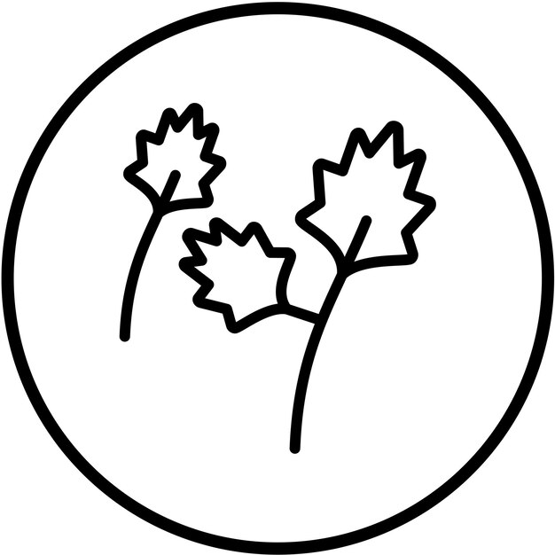 Diseño vectorial Estilo del icono de Arugula