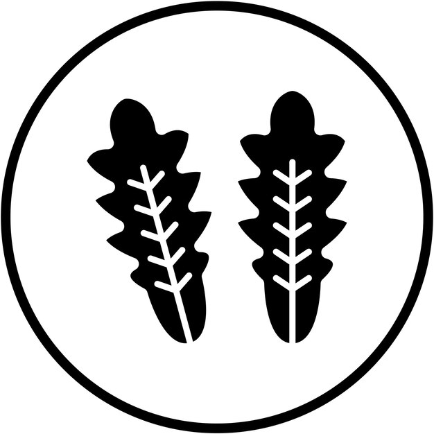 Diseño vectorial Estilo del icono de Arugula