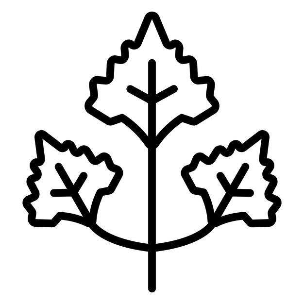 Diseño vectorial Estilo del icono del cilantro