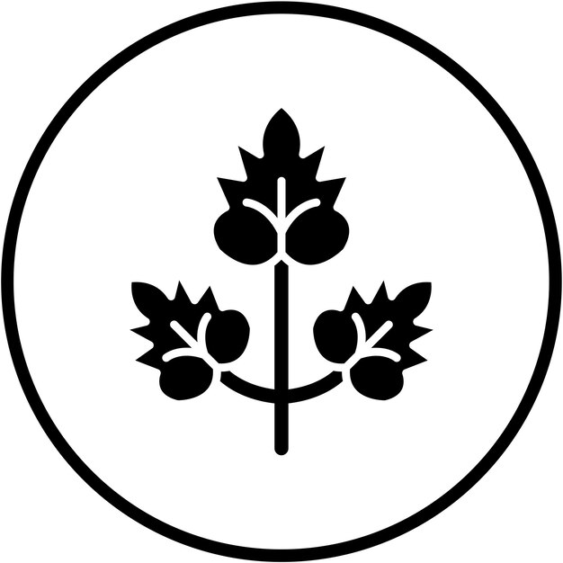 Diseño vectorial Estilo de icono de cilantro