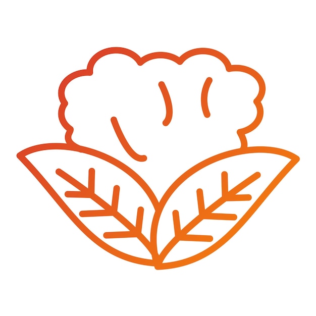 Diseño vectorial de estilo de icono de coliflor