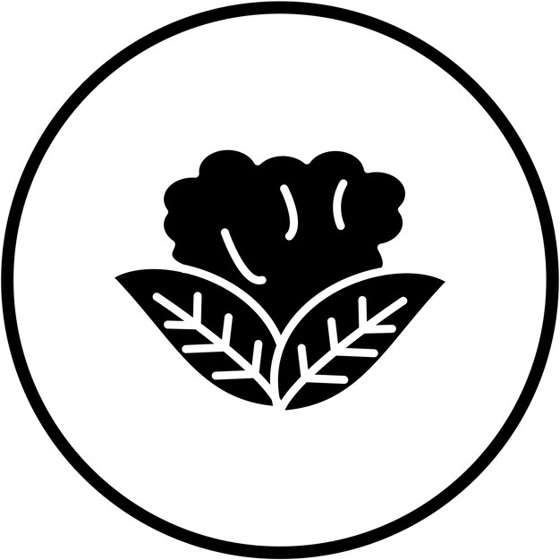 Diseño vectorial de estilo de icono de coliflor