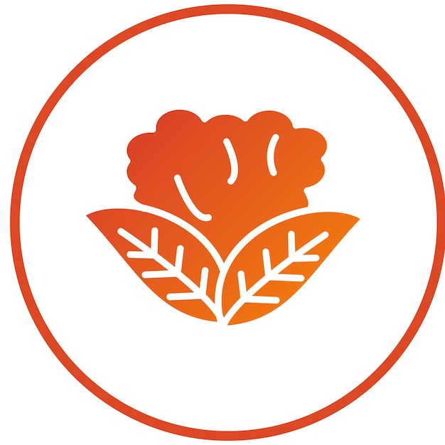 Diseño vectorial de estilo de icono de coliflor
