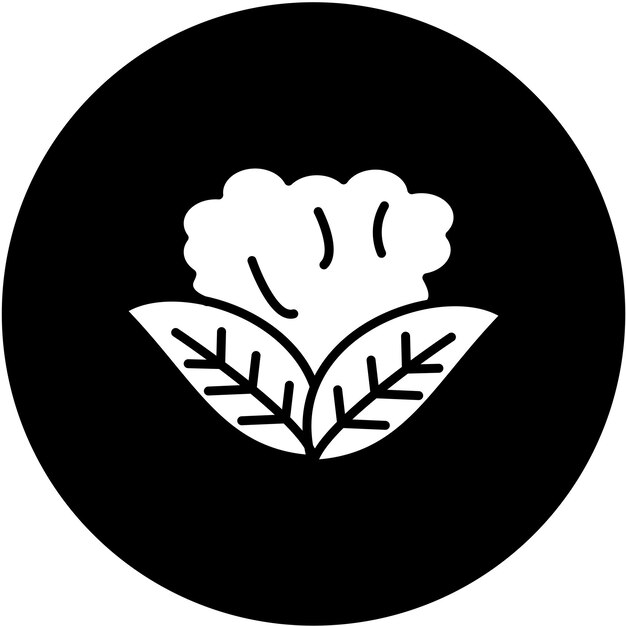 Diseño vectorial de estilo de icono de coliflor
