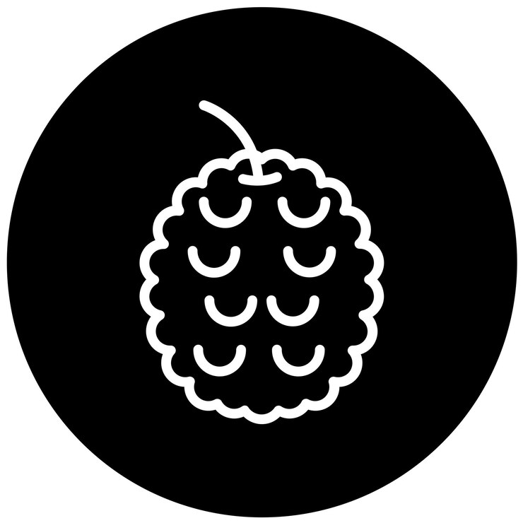 Vector diseño vectorial estilo del icono de la lechuga