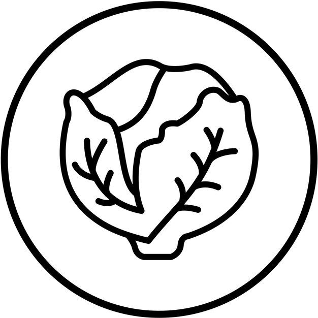 Diseño vectorial Estilo del icono de lechuga