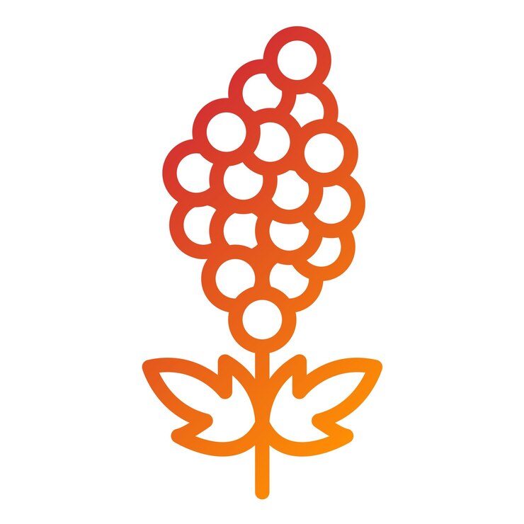 Vector diseño vectorial estilo del icono de quinoa quest