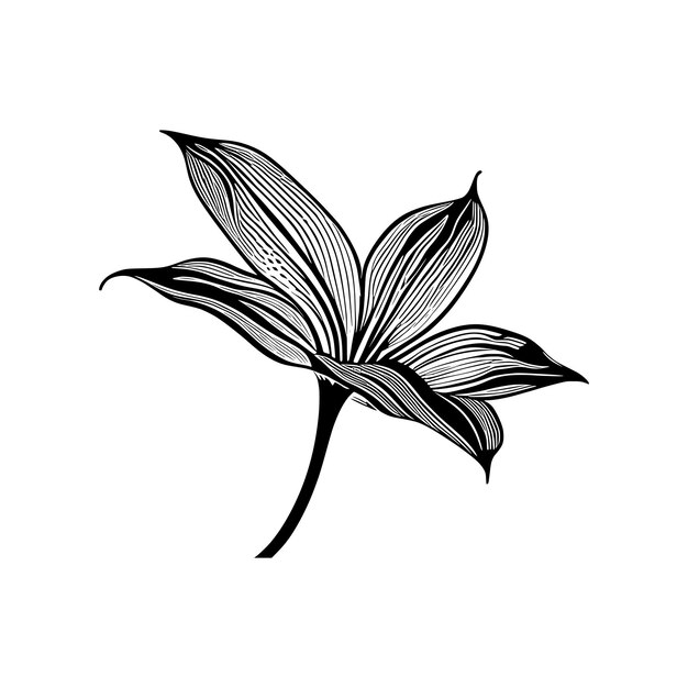 Diseño vectorial de flor de lirio