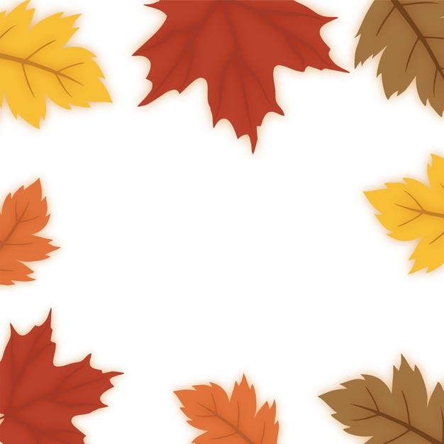Diseño vectorial de flores y hojas coloridas Un racimo Una colección de flores y hoja
