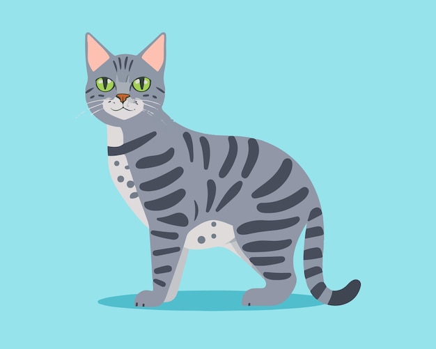 Vector un diseño vectorial de gato de brazalete