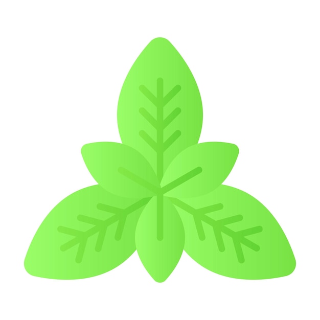 Diseño vectorial de hojas de albahaca frescas aisladas en fondo blanco