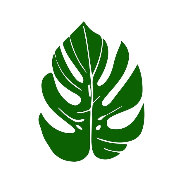 Diseño vectorial de hojas de monstera vintage para uso decorativo aislado sobre fondo blanco