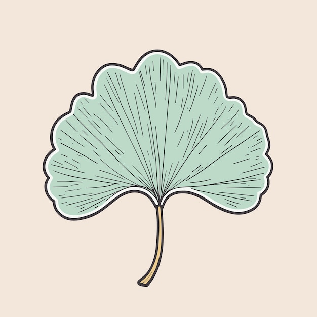 Diseño vectorial de la ilustración de la hoja de Gingko