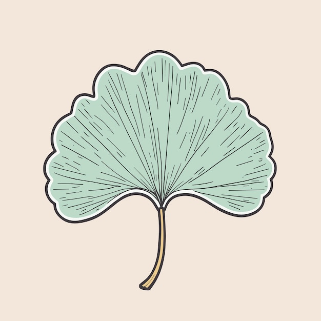 Diseño vectorial de la ilustración de la hoja de gingko