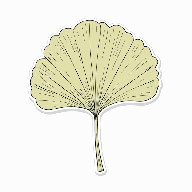 Diseño vectorial de la ilustración de la hoja de gingko