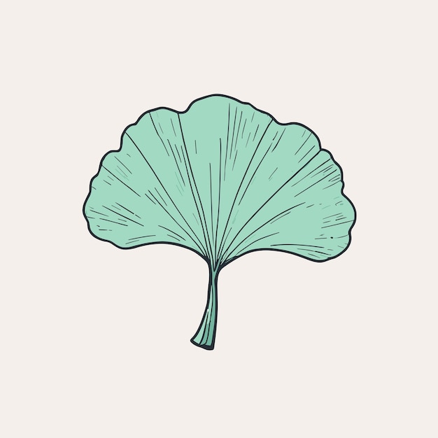 Diseño vectorial de la ilustración de la hoja de Gingko