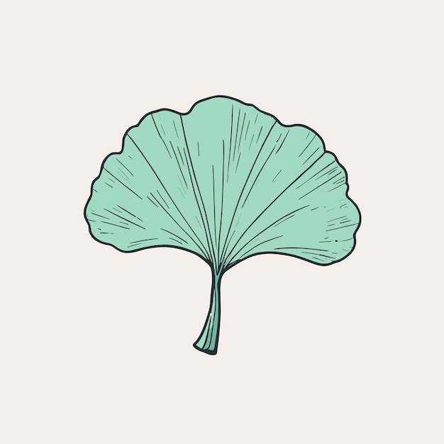 Vector diseño vectorial de la ilustración de la hoja de gingko