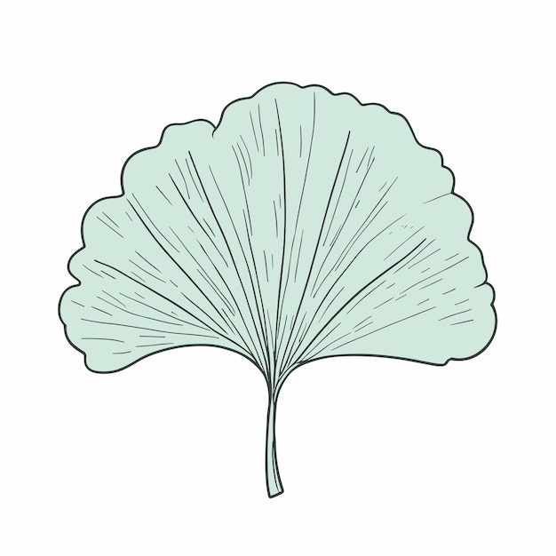 Diseño vectorial de la ilustración de la hoja de Gingko