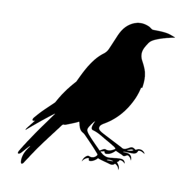 Diseño vectorial de ilustraciones de siluetas de pájaros