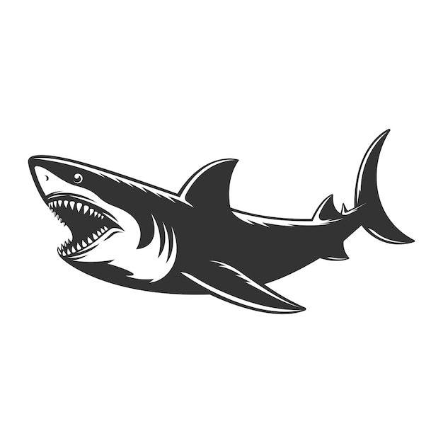 Diseño vectorial de ilustraciones de tiburones blancos y negros