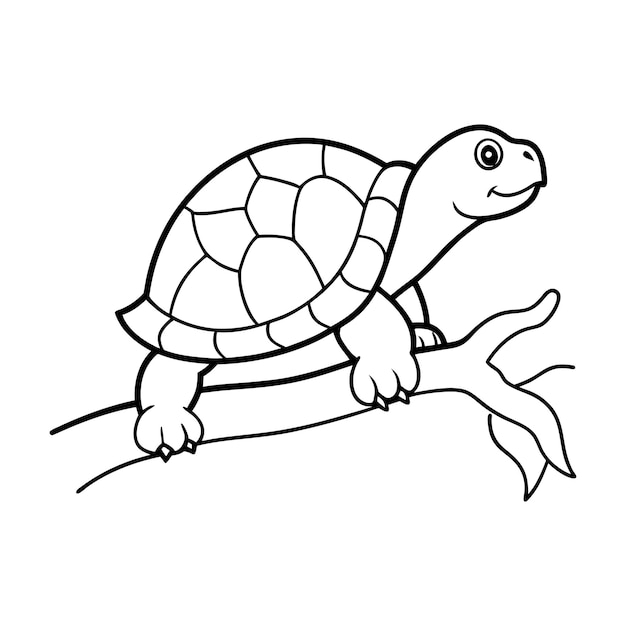 El diseño vectorial de la línea de la tortuga de fondo blanco