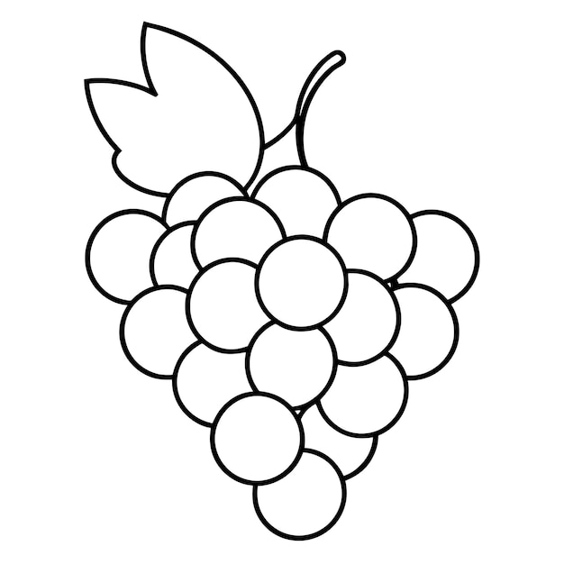 Diseño vectorial de la línea de uvas