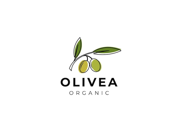 Vector diseño vectorial del logotipo del aceite de oliva