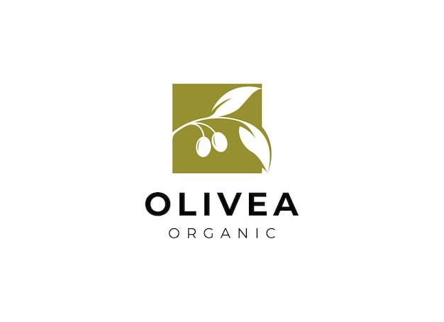 Diseño vectorial del logotipo del aceite de oliva