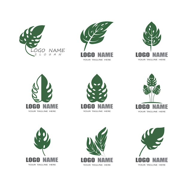 Diseño vectorial del logotipo de la hoja de Monstera