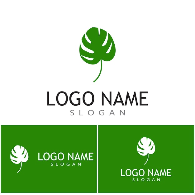 Diseño vectorial del logotipo de la hoja de Monstera