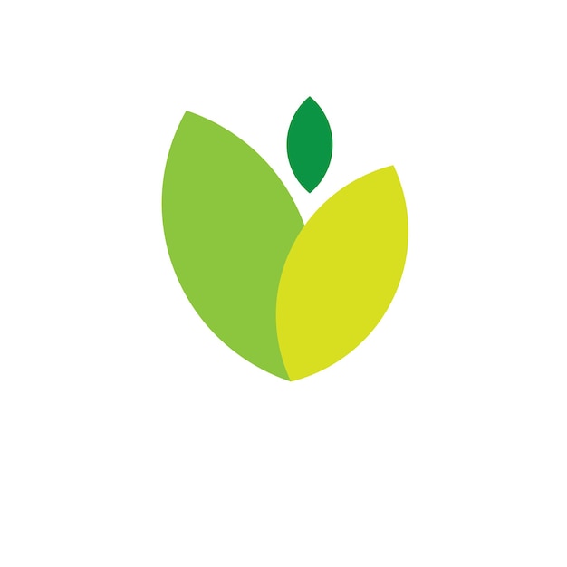 diseño vectorial del logotipo de hoja verde simple