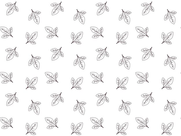 Diseño vectorial de patrón floral dibujado a mano Ornamento simple con planta y hoja