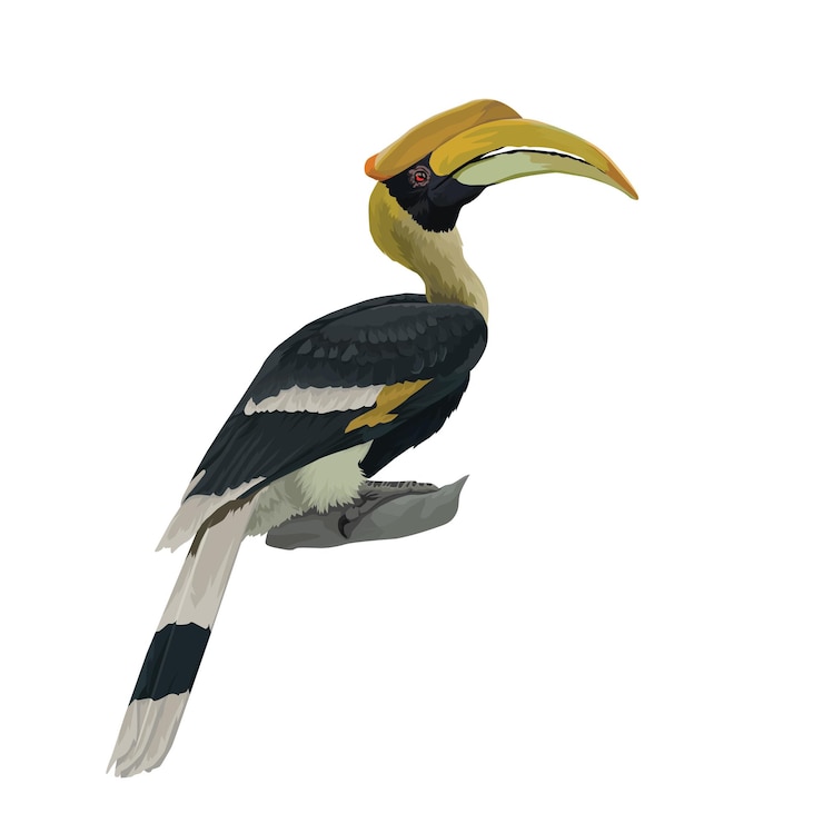 Vector diseño vectorial de la perca de gran cuerno en una rama