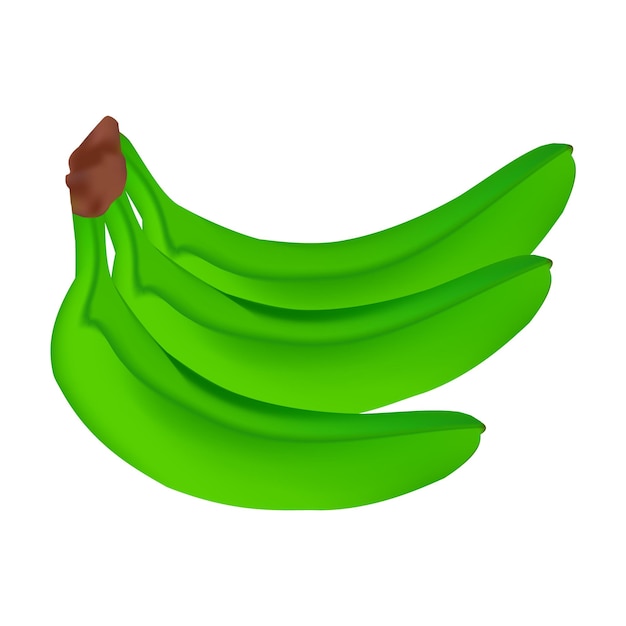 Vector diseño vectorial de plátano verde