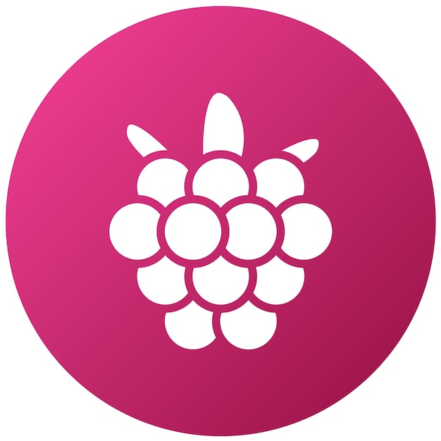 Diseño vectorial de Raspberry Rhapsody Estilo de icono