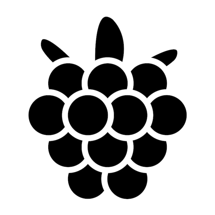 Vector diseño vectorial de raspberry rhapsody estilo de icono