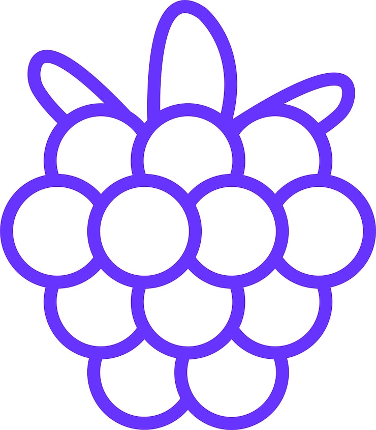 Vector diseño vectorial de raspberry rhapsody estilo de icono