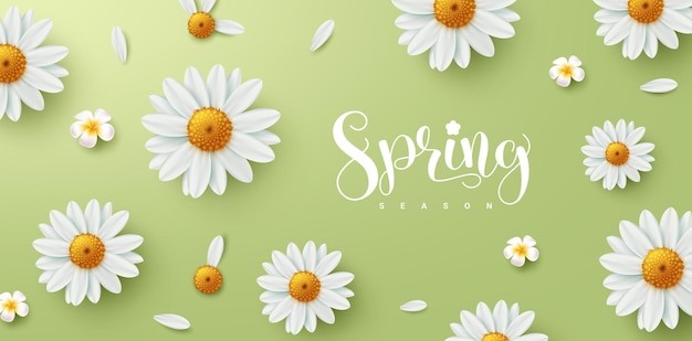 Diseño vectorial de saludo de texto de la temporada de primavera Texto de la temporada De primavera en fondo verde con margarita