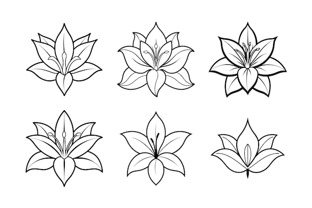 Diseño vectorial de la silueta de la flor de lirio con ilustración vectorial del arte de la línea etiquetada