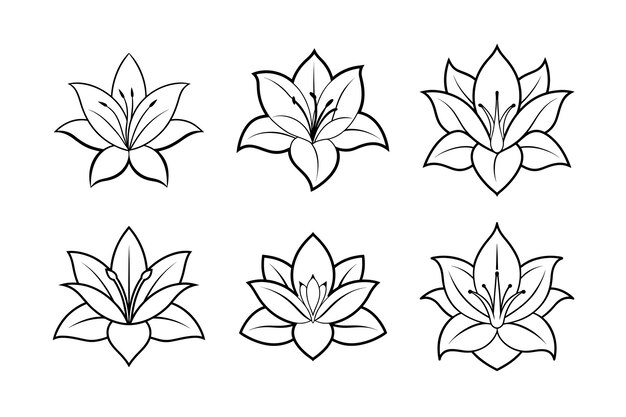 Diseño vectorial de la silueta de la flor de lirio con ilustración vectorial del arte de la línea etiquetada