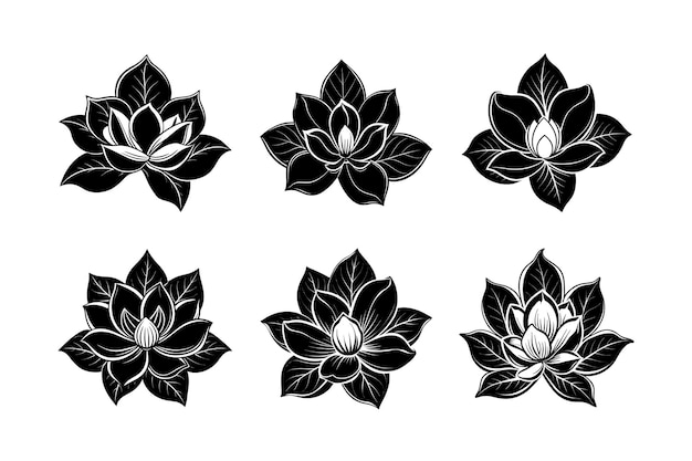 diseño vectorial de silueta de flor de magnolia etiquetado con ilustración vectorial alta de tallado de lino