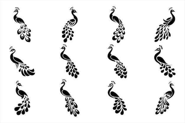 Diseño vectorial de silueta de pavo real icono plano en blanco y negro tatuaje vectorial del pavo real mehndi