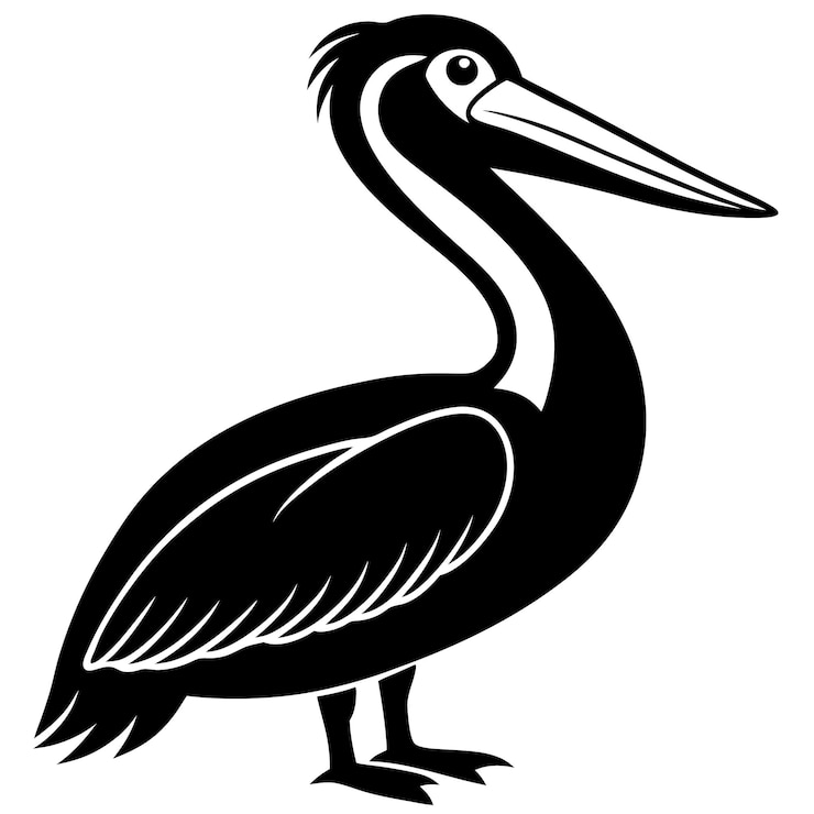 Vector diseño vectorial de silueta de pelícano simple gráfico de fondo blanco