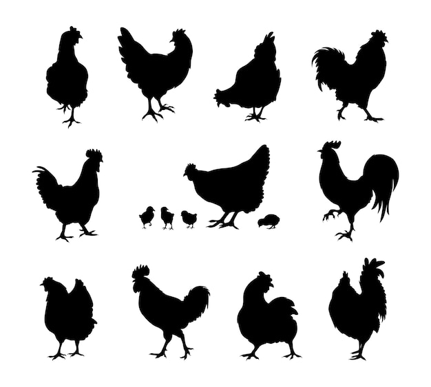 diseño vectorial de silueta de pollo