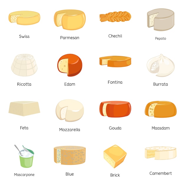 Vector diseño vectorial de símbolo de alimentos y lácteos. conjunto de icono de vector de comida y queso