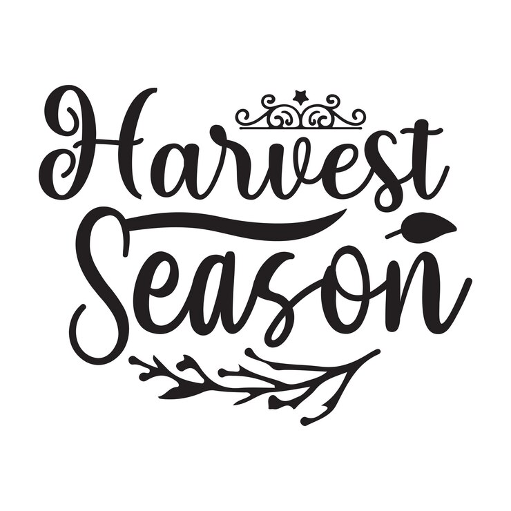 Vector diseño vectorial de tipografía svg de otoño