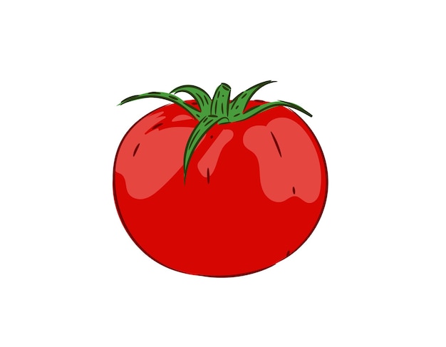 Vector diseño vectorial de tomates rojos aislados